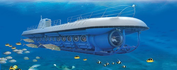 潜水艇原理是模仿什么生物