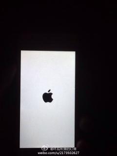 苹果5s在更新了iOS8后一直处于白色这屏幕是
