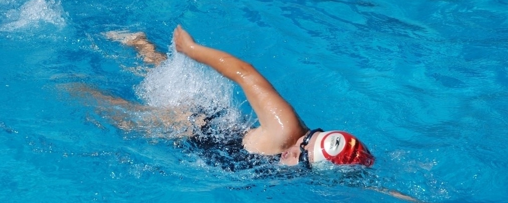 游泳比赛总共有多少种游泳姿势