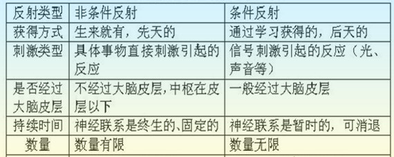 人体状态反射的规律是什么