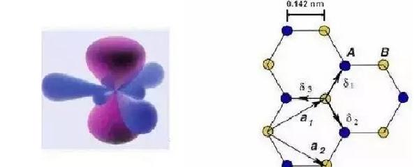 分子中碳原子的是sp杂化,并且sp杂化是指同一原子内由一个ns轨道和一