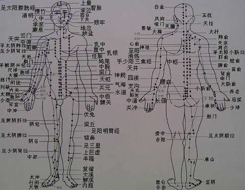急求人体血位图,另有详细解释及介绍