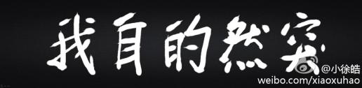 手机书法〕谁来解释一下伍佰的"突然的自我"是啥意思?