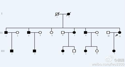 医学领域的家系图谱使用什么画图软件比较好呢?