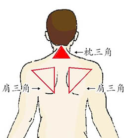 身体藏着这么多你不知道的"危险三角区"