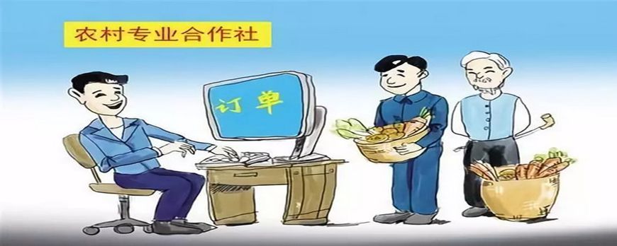 农民专业合作社属于什么企业类型