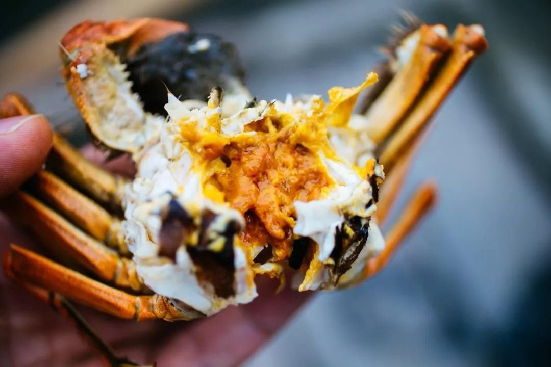 为什么吃螃蟹一定要吃活蟹?吃死螃蟹危害大