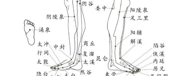 脚踝外侧有什么穴位