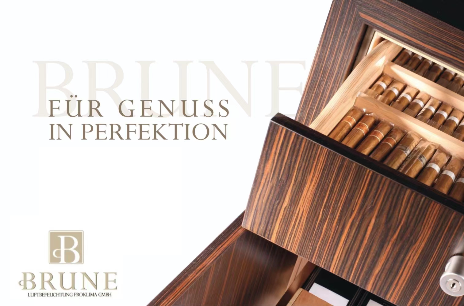 BRUNE雪茄柜 - 精美的设计和高品质的材料，保持雪茄的湿度和新鲜度