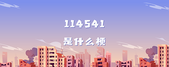 114541是什么梗