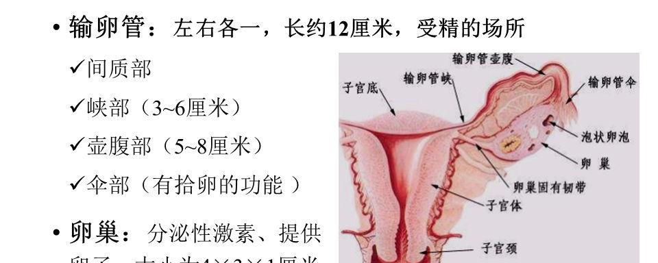 宫颈癌筛查结果正常值是多少