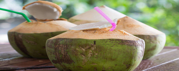 椰子成熟的季节是几月