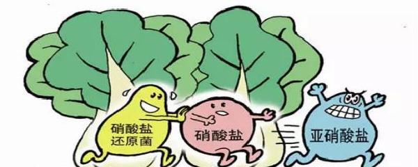 亚硝酸盐卡通图片