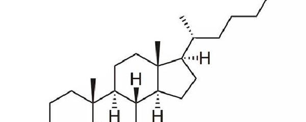 环戊烷多氢菲