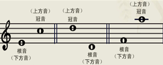 冠音和根音的图片图片