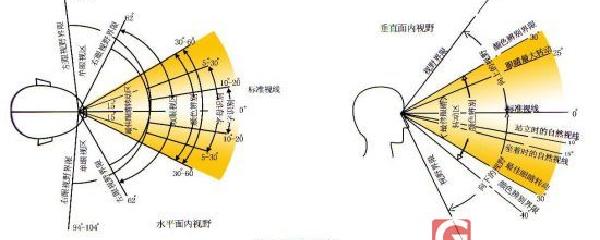 视野检查正常图片