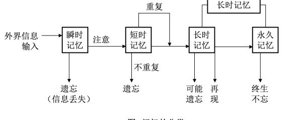 由短时记忆进入长时记忆系统需要经过的过程是 爱问知识人