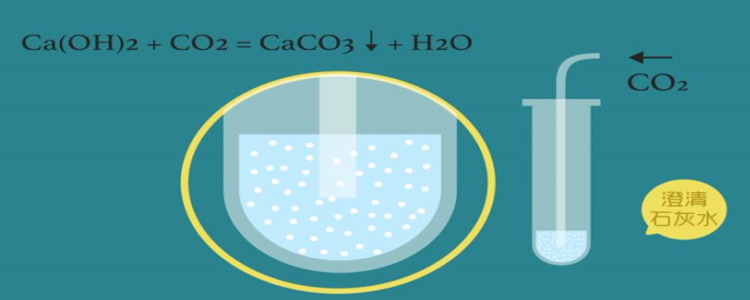 二氧化碳与石灰水反应图片