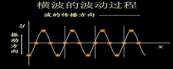 怎麼判斷波的起振方向