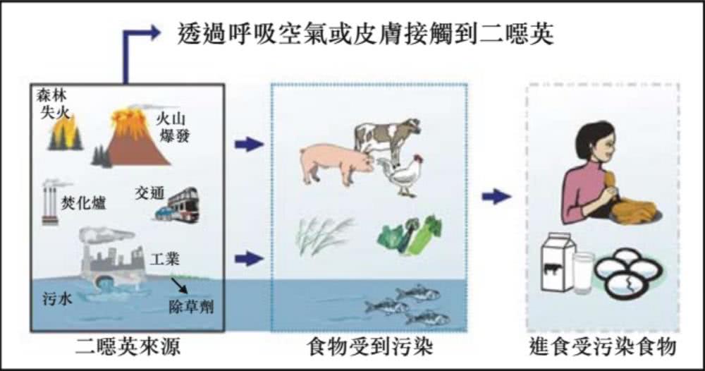 二恶英超标还能愉快地吃大闸蟹吗