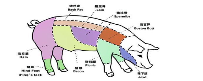 猪里脊和外脊的图解图片