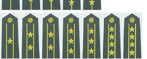 军人肩章两颗星图片